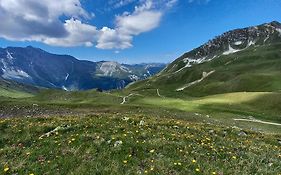 Les Campanules